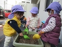 花・野菜植え2 (1)