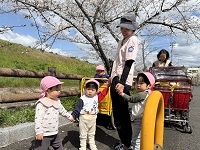お花見散歩2 (2)