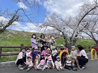 お花見散歩1 (2)