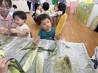 食育(とうもろこしの皮むき)2