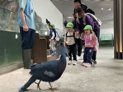 お別れ遠足4