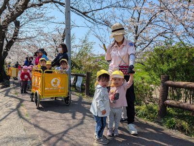 お花見散歩2 