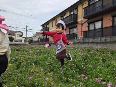 れんげ畑4 