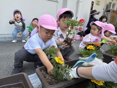 花・野菜の苗植え1