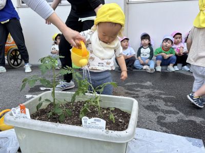 花・野菜の苗植え2 