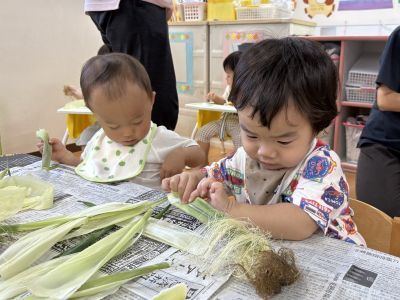 食育（とうもろこし皮むき）1